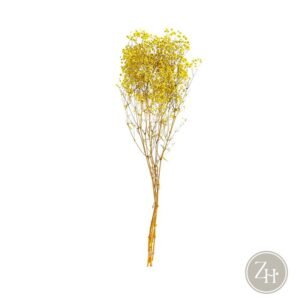 Ramillete flores secas amarillo PANICULATA