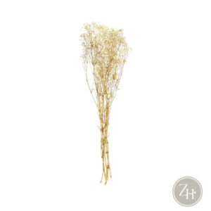 Ramillete flores secas blanco PANICULATA